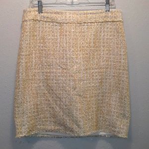 Ann Taylor skirt